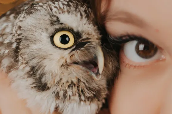 Casino B Bets Supporto